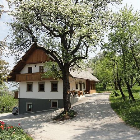 Farm Stay Dolinar Krainer Бохинийска Бела Екстериор снимка