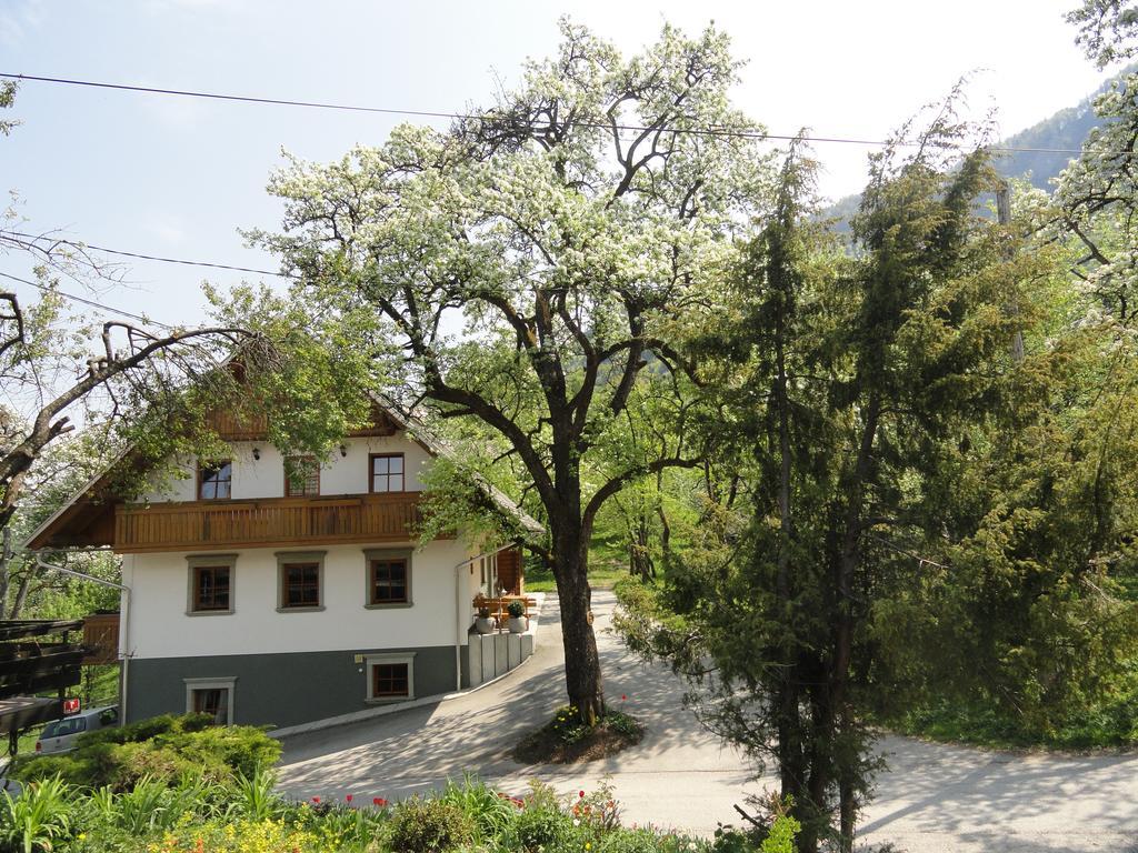 Farm Stay Dolinar Krainer Бохинийска Бела Стая снимка